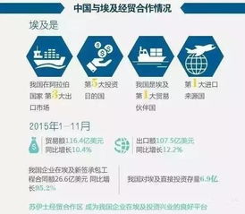 埃及進入國家緊急狀態 商務部發布警示，外貿貨代企業需加強風險防范